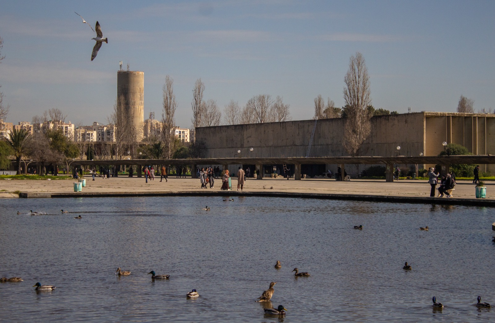 胡阿里·布迈丁科技大学
