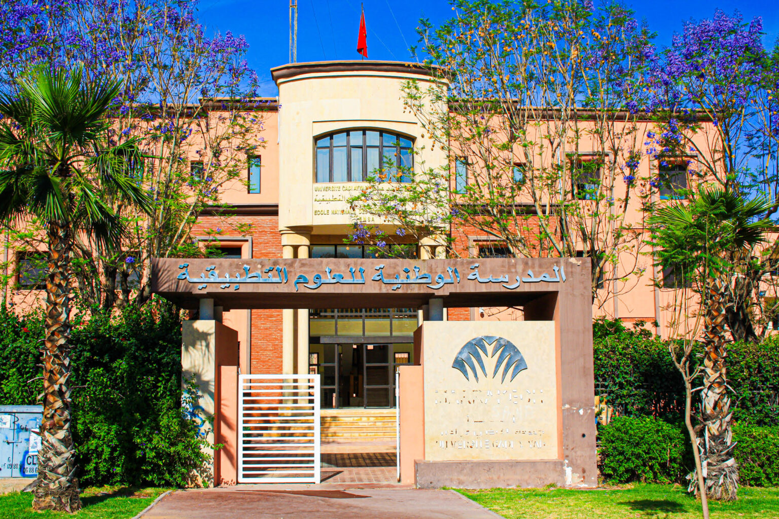 卡迪·艾雅德大学