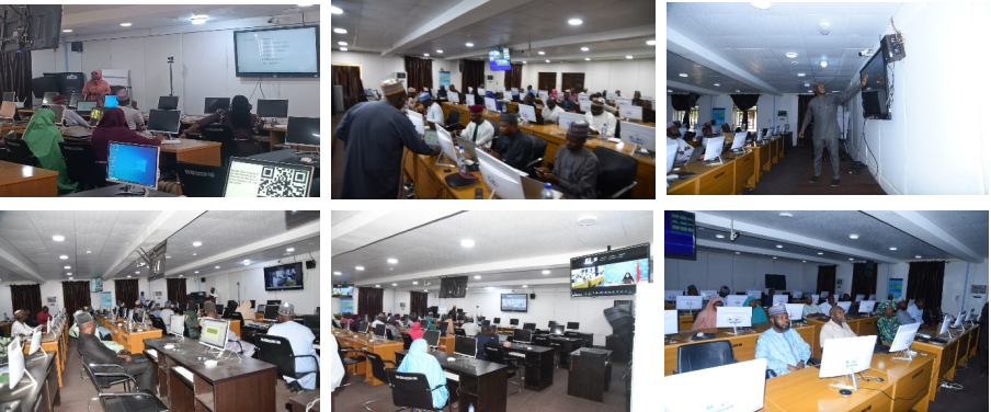 尼日利亚：课程定制创新